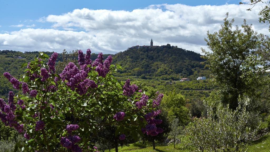 Villa Vires Labin  Zewnętrze zdjęcie